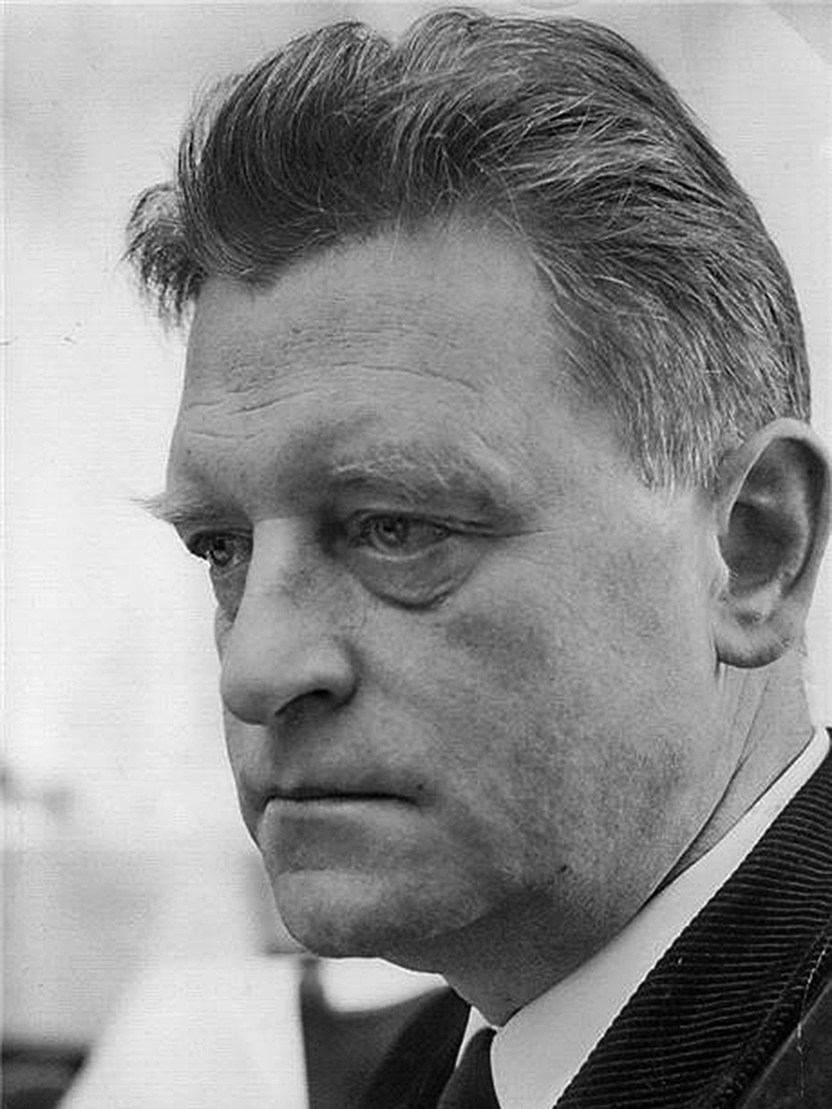 Dag Wiren